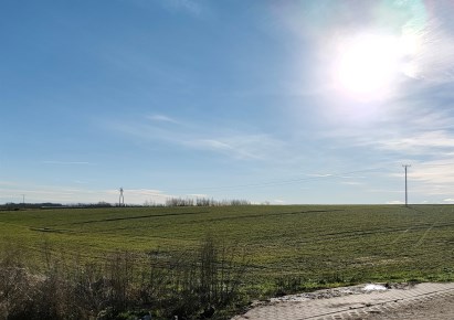 działka na sprzedaż - Kołbaskowo, Siadło Dolne